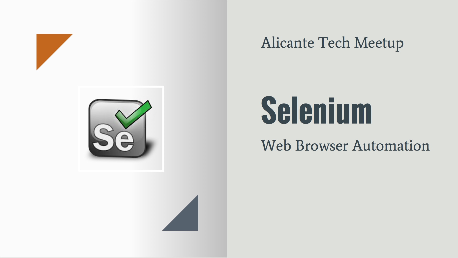 Selenium Test Suite